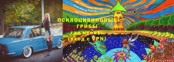 трава Беломорск