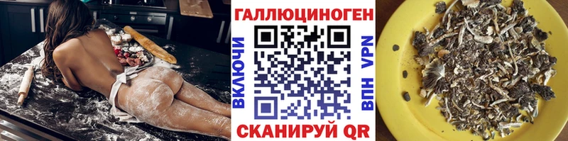 Галлюциногенные грибы прущие грибы  Мглин 
